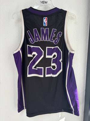 Nike Los Angeles Lakers LeBron James Black & Purple Statement Jersey #23 (XL)