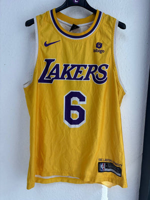Nike Los Angeles Lakers LeBron James Gold Icon Jersey #6 (L)